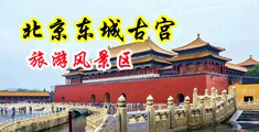 日本抽插爽出水视频中国北京-东城古宫旅游风景区